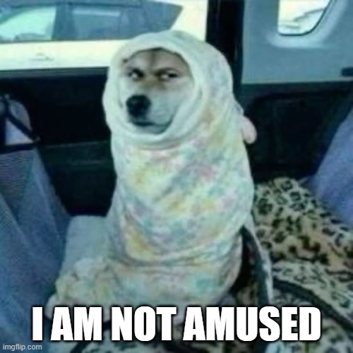 Not Amused | I AM NOT AMUSED | image tagged in dogs | made w/ Imgflip meme maker