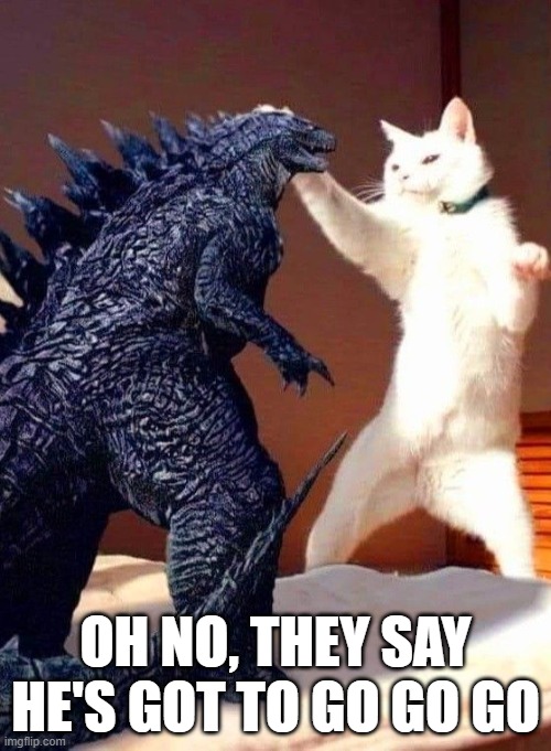 Catzilla | OH NO, THEY SAY HE'S GOT TO GO GO GO | image tagged in cats | made w/ Imgflip meme maker