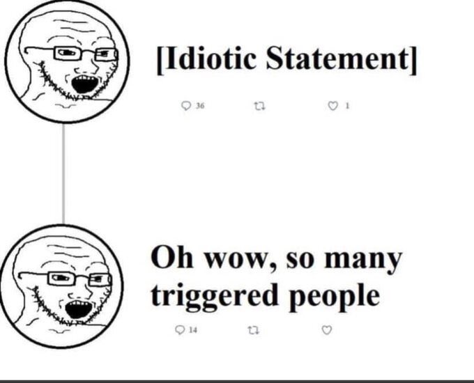 idiotic statement Blank Meme Template