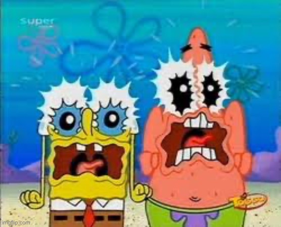 Spongebob and Patrick Big Shock | image tagged in spongebob and patrick big shock | made w/ Imgflip meme maker