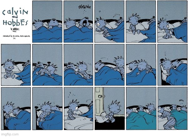 Tigers need to keep warm, too… | image tagged in calvin and hobbes,comics,stealing covers | made w/ Imgflip meme maker