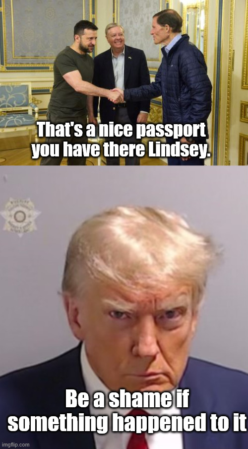 That's a nice passport you have there Lindsey. Be a shame if something happened to it | image tagged in donald trump mugshot | made w/ Imgflip meme maker