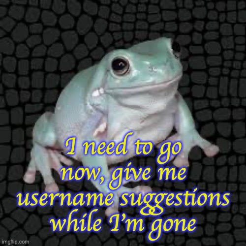 White's Tree Frog | I need to go now, give me username suggestions while I'm gone | image tagged in white's tree frog | made w/ Imgflip meme maker