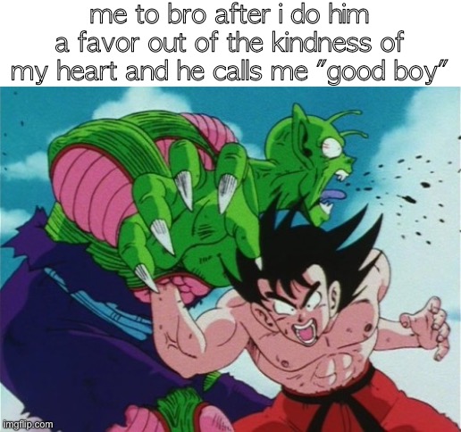 . | me to bro after i do him a favor out of the kindness of my heart and he calls me "good boy" | image tagged in goku gut punch | made w/ Imgflip meme maker
