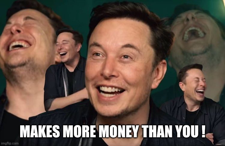 Elon Musk Laughing | MAKES MORE MONEY THAN YOU ! | image tagged in elon musk laughing | made w/ Imgflip meme maker