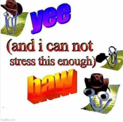yee (and i cannot stress this enough) haw | image tagged in yee and i cannot stress this enough haw | made w/ Imgflip meme maker