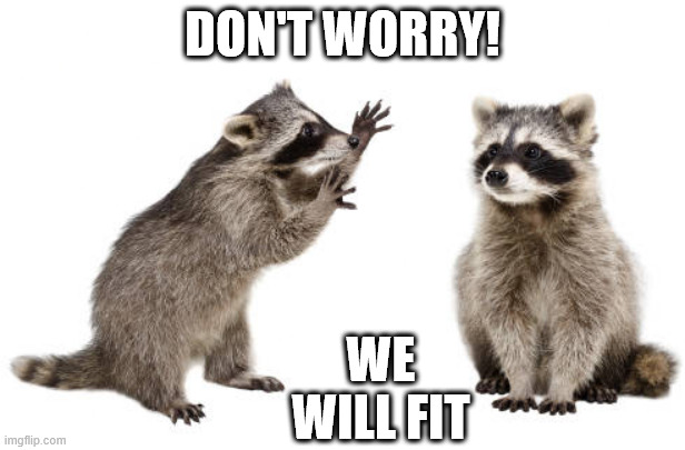 Two Raccoons | DON'T WORRY! WE WILL FIT | image tagged in furry | made w/ Imgflip meme maker