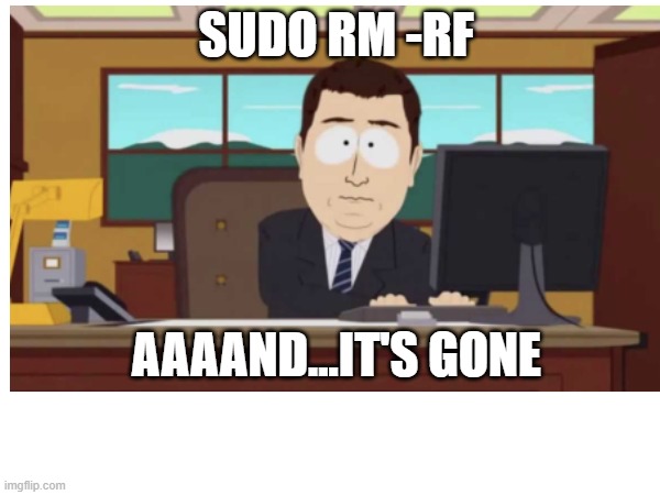 sudo rm -rf | SUDO RM -RF; AAAAND...IT'S GONE | image tagged in developer | made w/ Imgflip meme maker