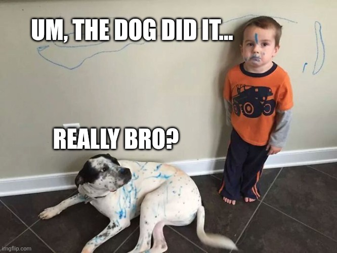 Um, The Dog Did It Really Bro? | UM, THE DOG DID IT... REALLY BRO? | image tagged in chrisjoines1 | made w/ Imgflip meme maker