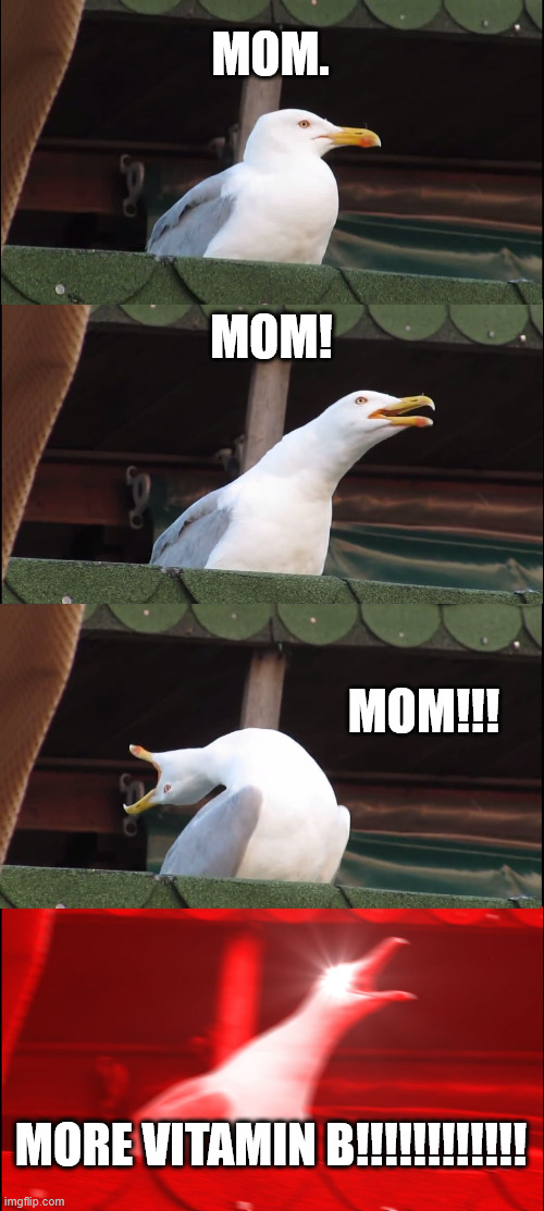 Inhaling Seagull | MOM. MOM! MOM!!! MORE VITAMIN B!!!!!!!!!!!! | image tagged in memes,inhaling seagull | made w/ Imgflip meme maker