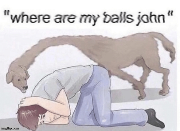 where are my balls john | image tagged in where are my balls john | made w/ Imgflip meme maker