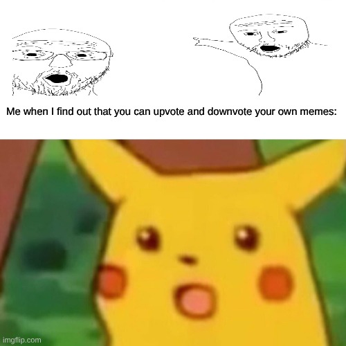 imgflip meme | Me when I find out that you can upvote and downvote your own memes: | image tagged in memes,surprised pikachu | made w/ Imgflip meme maker