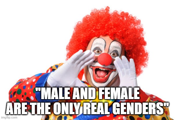 "MALE AND FEMALE ARE THE ONLY REAL GENDERS" | image tagged in clown,transphobic,2 genders | made w/ Imgflip meme maker
