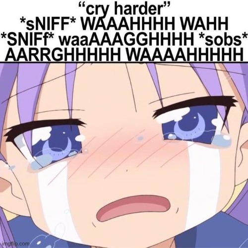 WAAAAAAH WAAAAAAH | image tagged in anime,cry | made w/ Imgflip meme maker