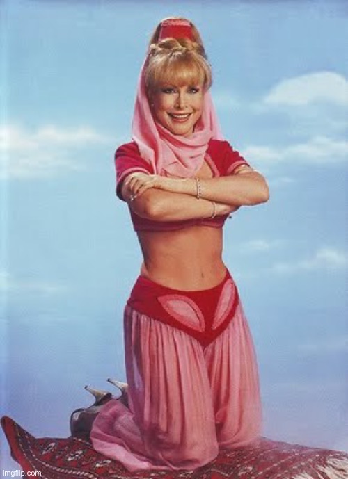I dream of genie | image tagged in i dream of genie | made w/ Imgflip meme maker