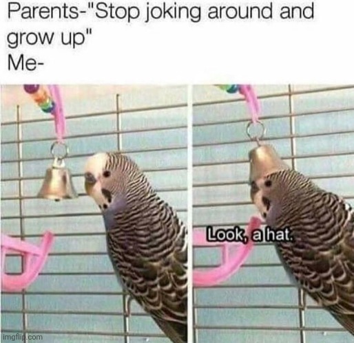 Funni me | made w/ Imgflip meme maker