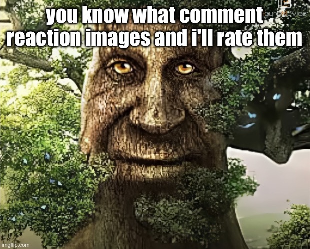 tree | you know what comment reaction images and i'll rate them | image tagged in tree | made w/ Imgflip meme maker