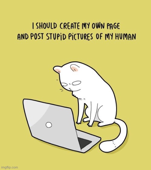 If they could… they would! | image tagged in cats,comics/cartoons,post pictures,role reversal | made w/ Imgflip meme maker