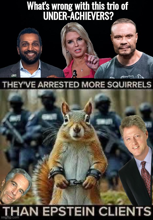 More squirrels have been raided than Epstein Islanders | What's wrong with this trio of
 UNDER-ACHIEVERS? | image tagged in black background,squirrel,jeffrey epstein | made w/ Imgflip meme maker