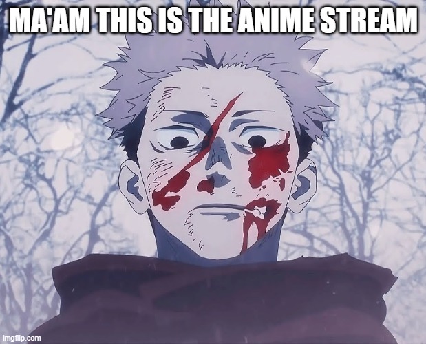 Yuji Itadori | MA'AM THIS IS THE ANIME STREAM | image tagged in yuji itadori | made w/ Imgflip meme maker