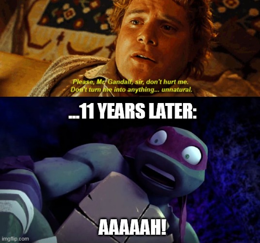 Same voice actor | ...11 YEARS LATER:; AAAAAH! | image tagged in lord of the rings,teenage mutant ninja turtles,funny | made w/ Imgflip meme maker