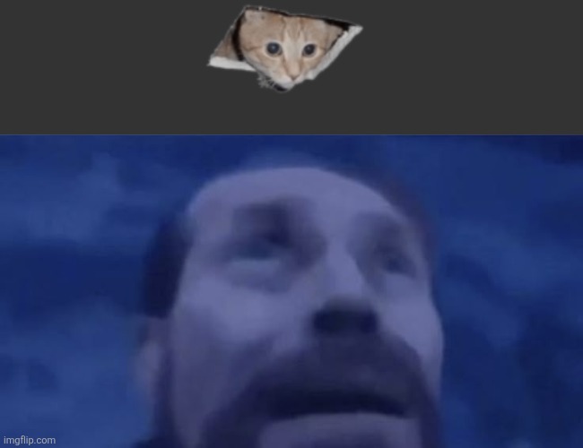 image tagged in memecat | made w/ Imgflip meme maker