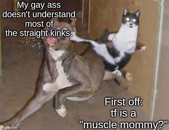 get rekt (announcement version) | My gay ass doesn't understand most of the straight kinks. First off: tf is a "muscle mommy?" | image tagged in get rekt announcement version | made w/ Imgflip meme maker