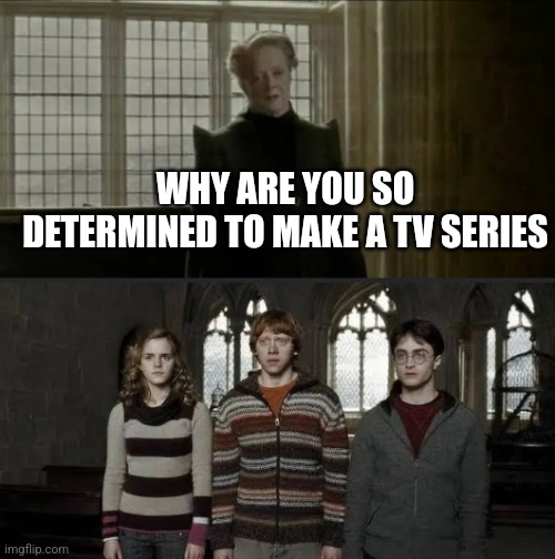 Potter!!! | WHY ARE YOU SO DETERMINED TO MAKE A TV SERIES | image tagged in why is it always you three blank | made w/ Imgflip meme maker