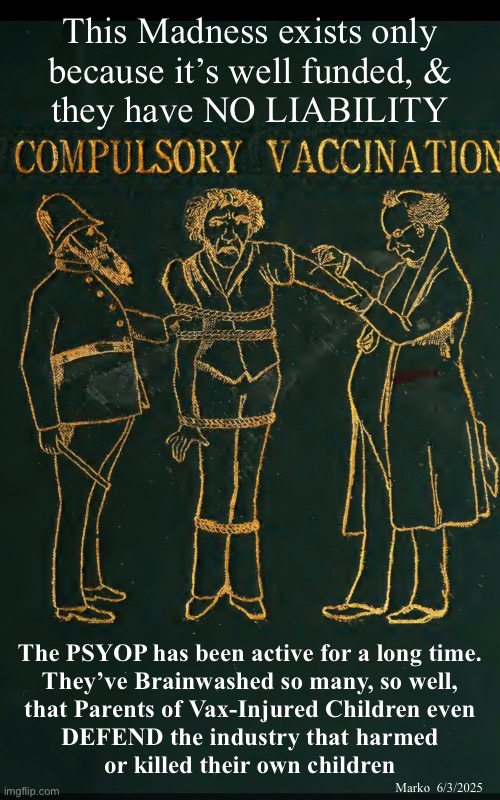 Read the Book | This Madness exists only
because it’s well funded, &
they have NO LIABILITY; The PSYOP has been active for a long time.
They’ve Brainwashed so many, so well,
that Parents of Vax-Injured Children even
DEFEND the industry that harmed
or killed their own children; Marko  6/3/2025 | image tagged in memes,if you defend the vax industry,they own you,or you have not looked into it,you just parrot industry hype,its a psyop | made w/ Imgflip meme maker