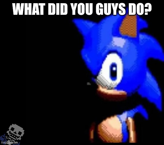 I come back and WHY IS SYSTEM BANNED?! | WHAT DID YOU GUYS DO? | image tagged in sonic stares | made w/ Imgflip meme maker