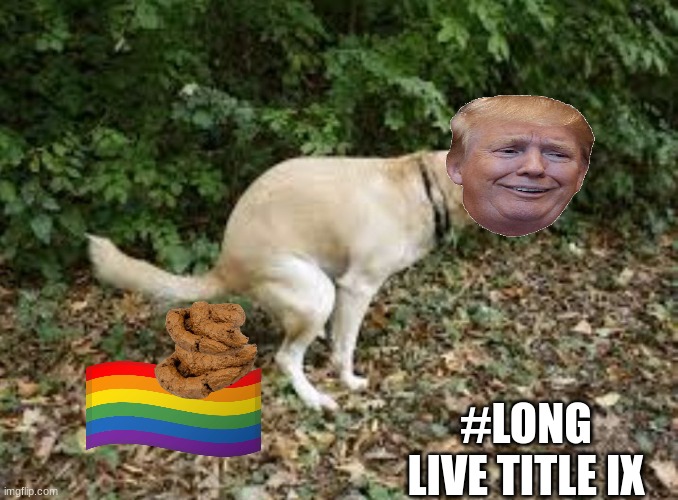 Title IX month meme | #LONG LIVE TITLE IX | image tagged in dog pooping,politics,memes,woke,lgbtq,ncaa | made w/ Imgflip meme maker