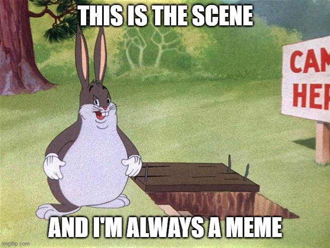 Big Chungus | THIS IS THE SCENE AND I'M ALWAYS A MEME | image tagged in big chungus | made w/ Imgflip meme maker