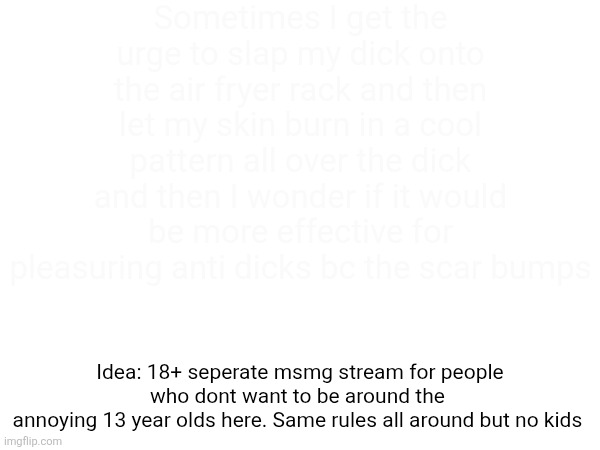 It'd be cool if it was successful | Sometimes I get the urge to slap my dick onto the air fryer rack and then let my skin burn in a cool pattern all over the dick and then I wonder if it would be more effective for pleasuring anti dicks bc the scar bumps; Idea: 18+ seperate msmg stream for people who dont want to be around the 
annoying 13 year olds here. Same rules all around but no kids | made w/ Imgflip meme maker