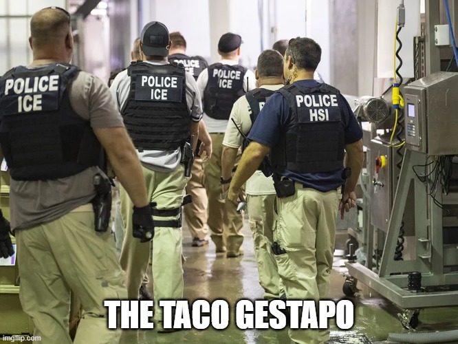 ICE RAID | THE TACO GESTAPO | image tagged in ice raid | made w/ Imgflip meme maker