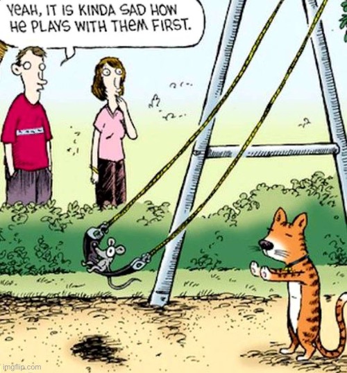 It’s more fun that way… | image tagged in cats,comics/cartoons,playing with a mouse,swing | made w/ Imgflip meme maker