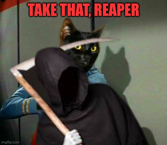 Almost a comment | TAKE THAT, REAPER | image tagged in vulcan cat pinch,grim reaper | made w/ Imgflip meme maker