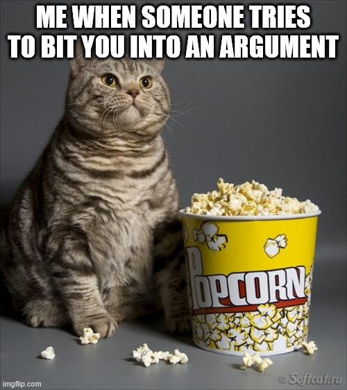 Cat eating popcorn | ME WHEN SOMEONE TRIES TO BIT YOU INTO AN ARGUMENT | image tagged in cat eating popcorn | made w/ Imgflip meme maker