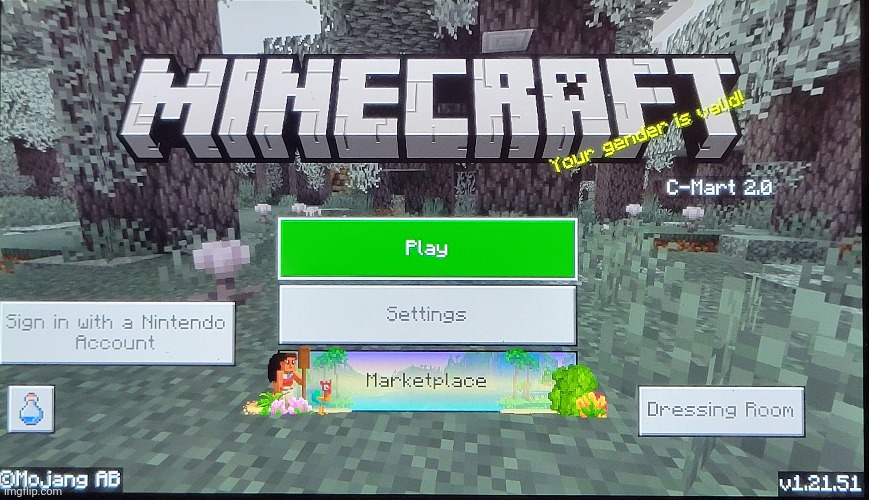 I took this photo on my switch a few months back (Ada: they're not necessarily wrong now are they) | image tagged in gender,lgbtq,minecraft,thisimagehasalotoftags,ha ha tags go brr | made w/ Imgflip meme maker