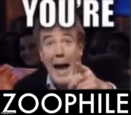 You're X (Blank) | ZOOPHILE | image tagged in you're x blank | made w/ Imgflip meme maker