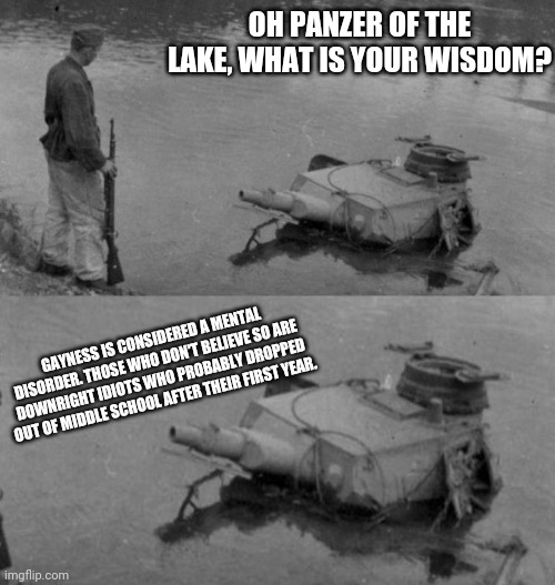 Panzer of the lake | OH PANZER OF THE LAKE, WHAT IS YOUR WISDOM? GAYNESS IS CONSIDERED A MENTAL DISORDER. THOSE WHO DON'T BELIEVE SO ARE DOWNRIGHT IDIOTS WHO PROBABLY DROPPED OUT OF MIDDLE SCHOOL AFTER THEIR FIRST YEAR. | image tagged in panzer of the lake | made w/ Imgflip meme maker