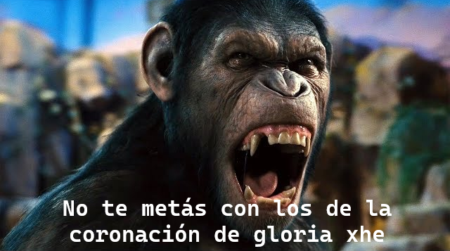 otra coronacion de gloria Blank Meme Template