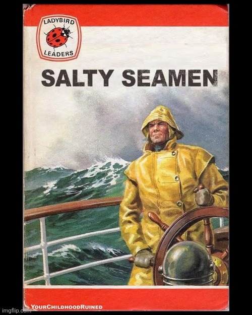Seamen | image tagged in funny memes | made w/ Imgflip meme maker