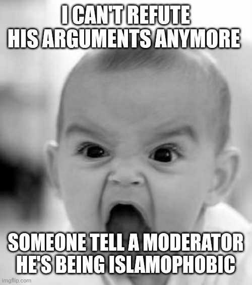 I CAN'T REFUTE HIS ARGUMENTS ANYMORE SOMEONE TELL A MODERATOR HE'S BEING ISLAMOPHOBIC | image tagged in memes,angry baby | made w/ Imgflip meme maker