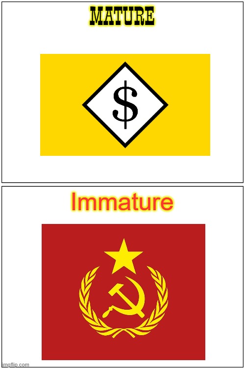 Blank Comic Panel 1x2 | MATURE; Immature | image tagged in memes,blank comic panel 1x2 | made w/ Imgflip meme maker