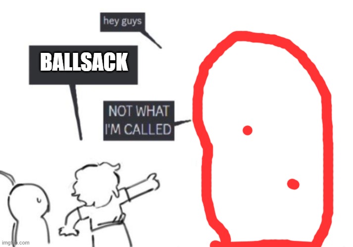 Hey Guys - NOT WHAT I'M CALLED | BALLSACK | image tagged in hey guys - not what i'm called | made w/ Imgflip meme maker