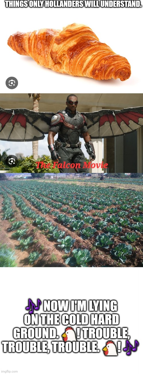 Hollander | THINGS ONLY HOLLANDERS WILL UNDERSTAND. 🎶 NOW I'M LYING ON THE COLD HARD GROUND. 🐔! TROUBLE, TROUBLE, TROUBLE. 🐔! 🎶 | image tagged in tom holland,marvel,spiderman,peter parker,holland,celebrity | made w/ Imgflip meme maker