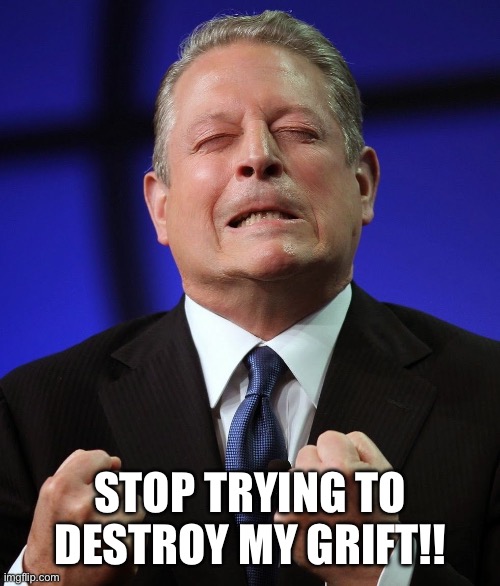 Al gore | STOP TRYING TO DESTROY MY GRIFT!! | image tagged in al gore | made w/ Imgflip meme maker
