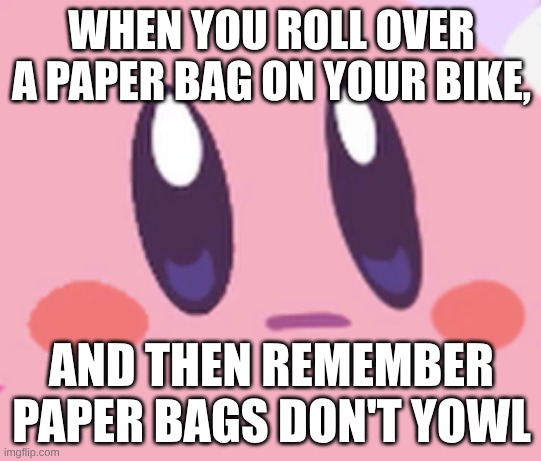 Blank Kirby Face | WHEN YOU ROLL OVER A PAPER BAG ON YOUR BIKE, AND THEN REMEMBER PAPER BAGS DON'T YOWL | image tagged in blank kirby face | made w/ Imgflip meme maker