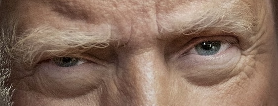 BB Trump Eyes Blank Meme Template