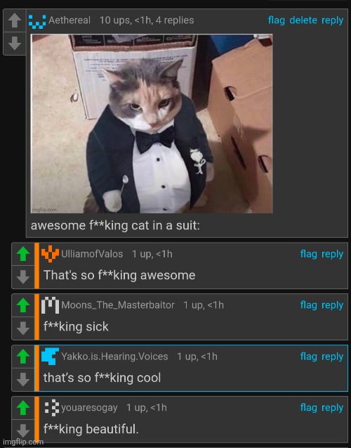 This is the most beautiful thing you'll ever see | made w/ Imgflip meme maker